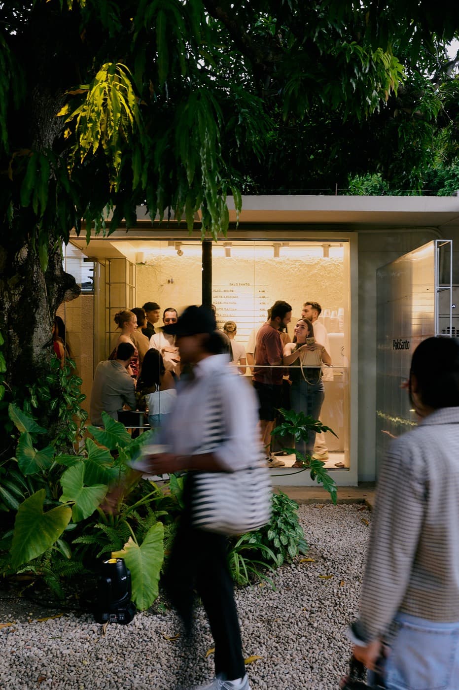 Fachada del nuevo Carnada vista a través del árbol de mango